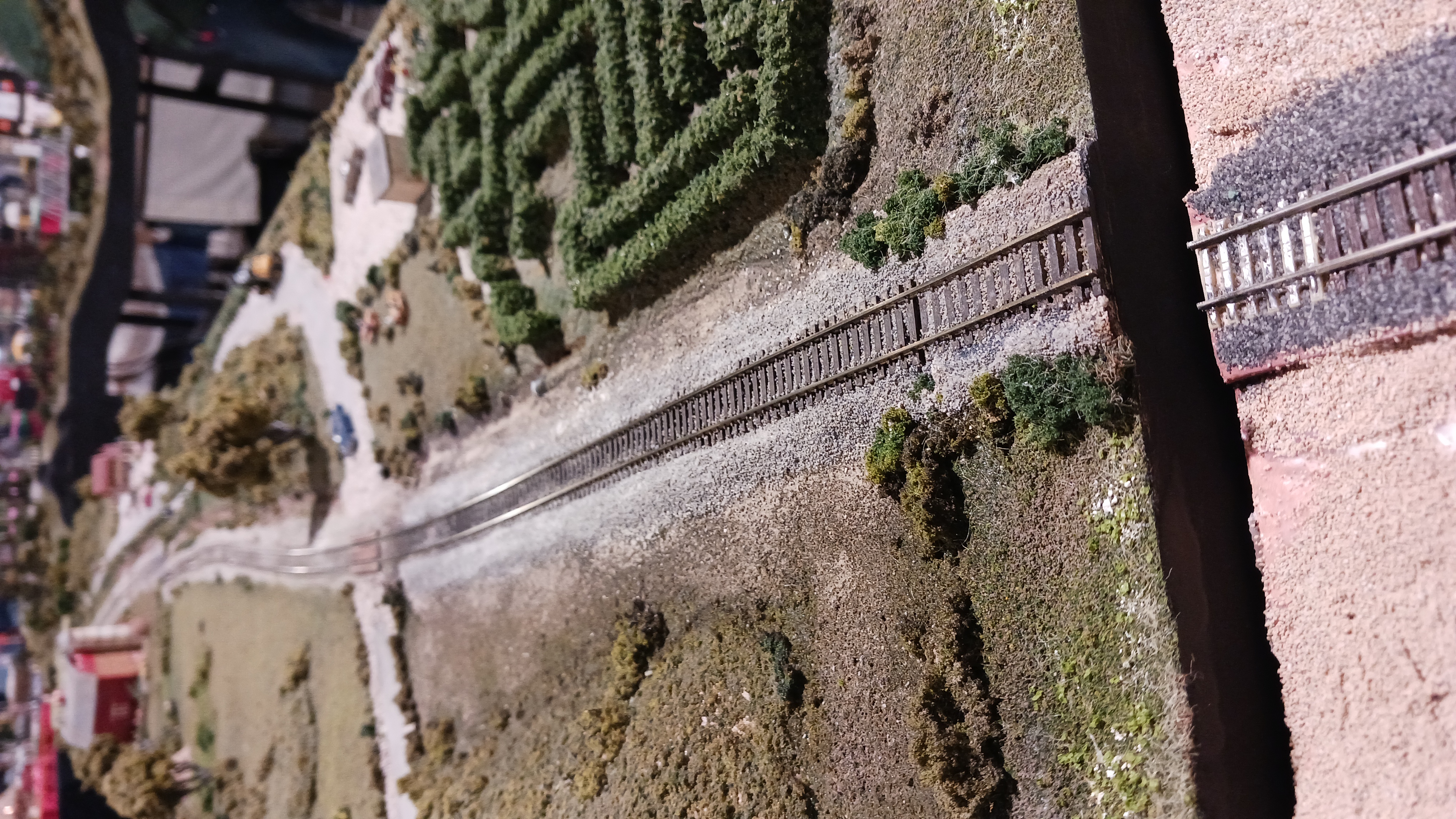 Timonium GSMT show layout