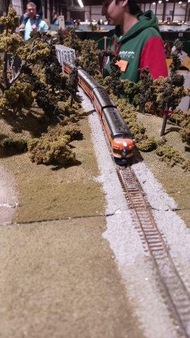 Timonium GSMT show layout